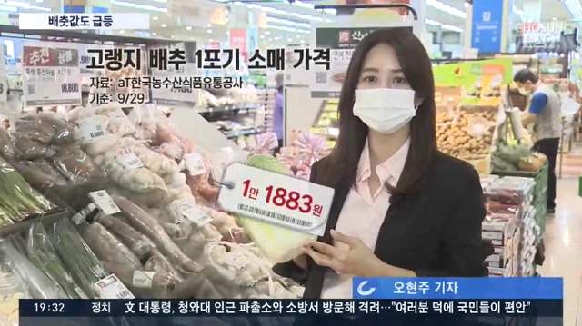 食品輸送帶廠家：韓國(guó)大白菜漲價(jià)至62元一棵怎么回事